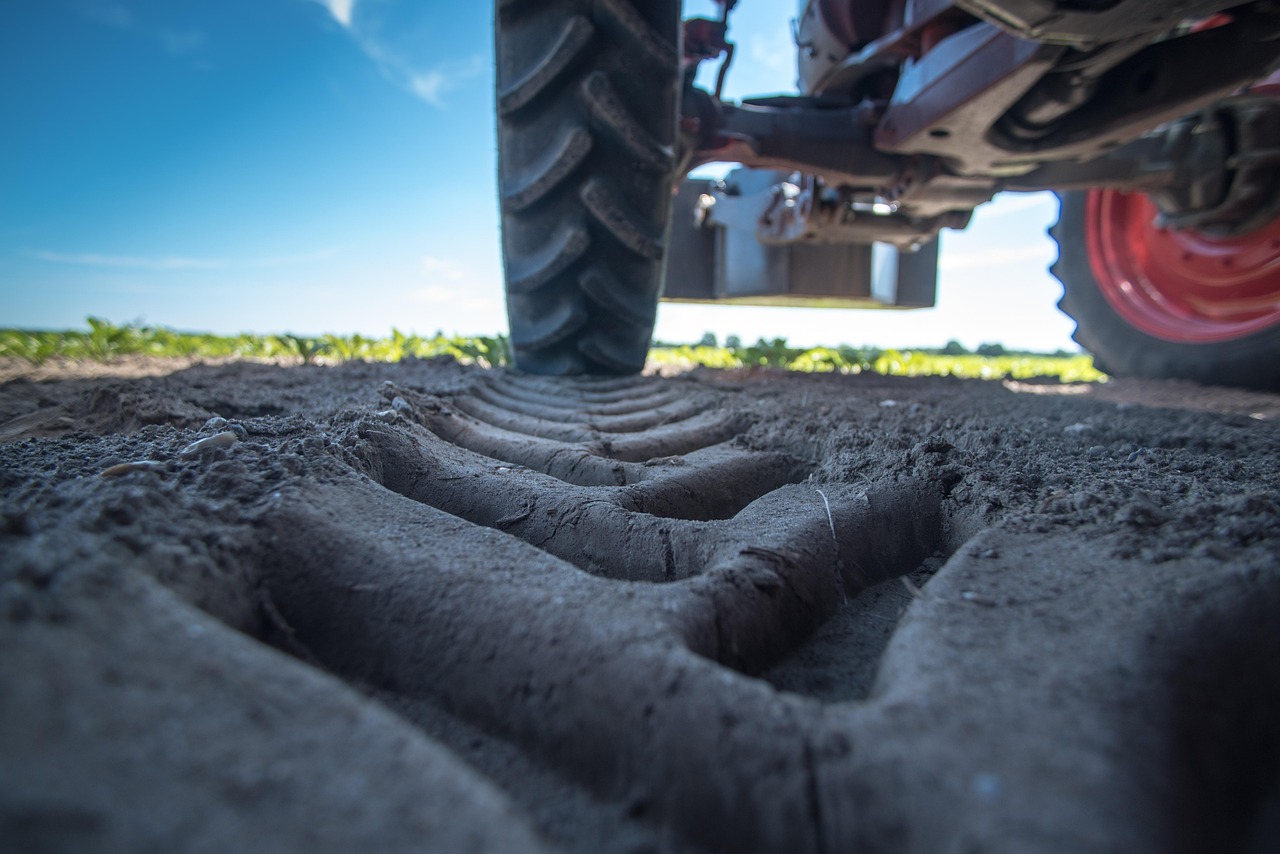 tractor, agricultural engineering, field, agriculture, agricultural machine, working device, farm tractor, tire, profile, working machine, management, tractors, tractor, tractor, tractor, tractor, tractor