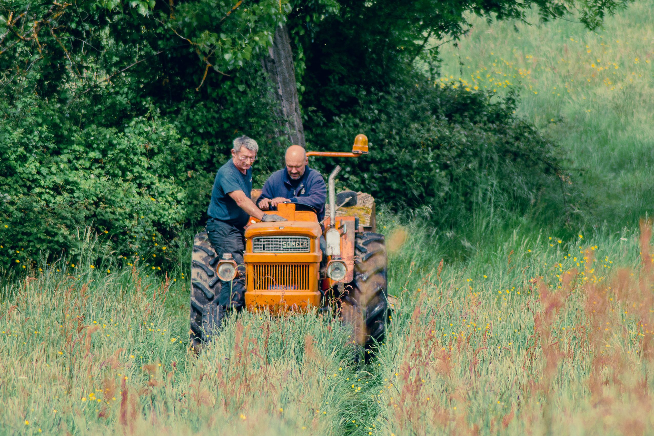 Two farmers driving an orange tractor through lush vegetation in Parcoul-Chenaud, France.