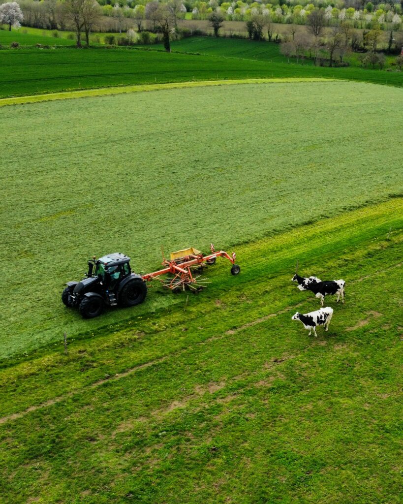 Aerial view of a tractor working on a green farm field with cows grazing nearby, showcasing rural agriculture.